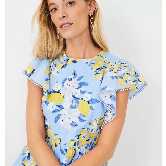 Ann Taylor Dresses & Skirts - Ann Taylor Tall Ruffle Sleeve Lemon Dotted Swiss Blue Midi Dress Summer 22 Sz M